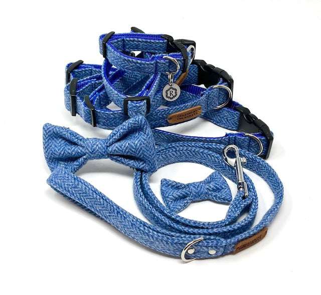 Blue dog collar and leash set with bow ties on a white background