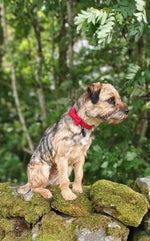 Dog Bow Tie - Red Tweed