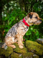 Dog Bow Tie - Red Tweed
