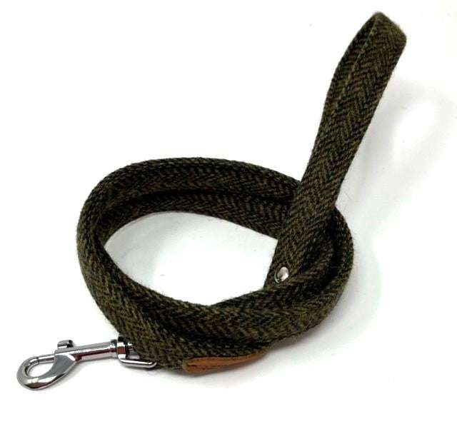 Green dog leash with metal clip on a white background