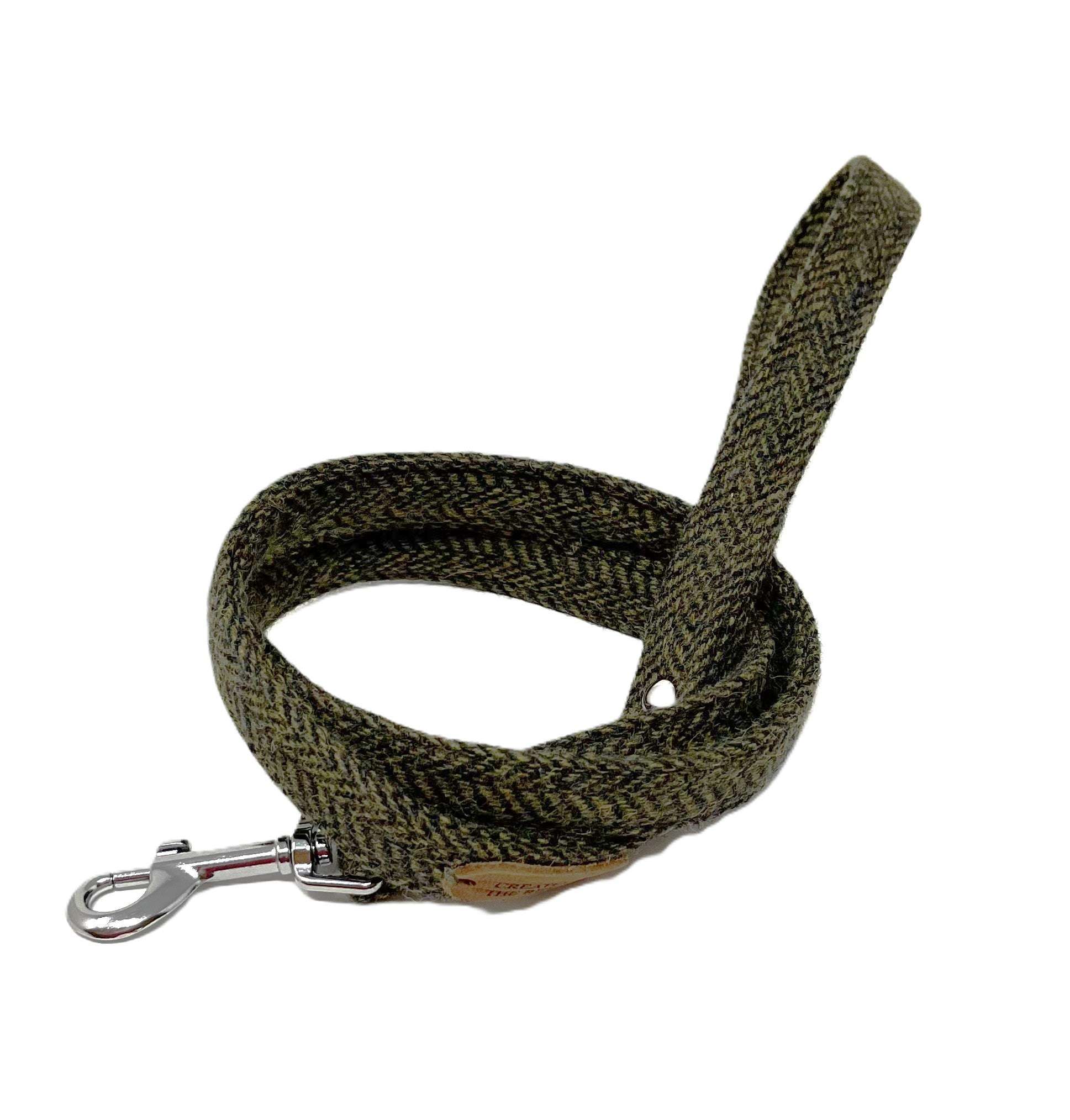 Green dog leash with metal clip on a white background