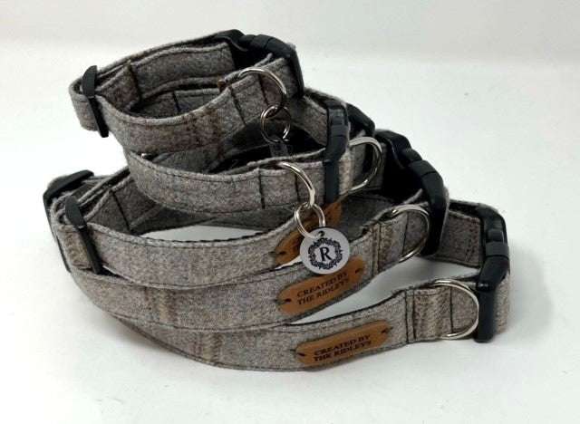Set of gray dog collars with leather tags on a white background