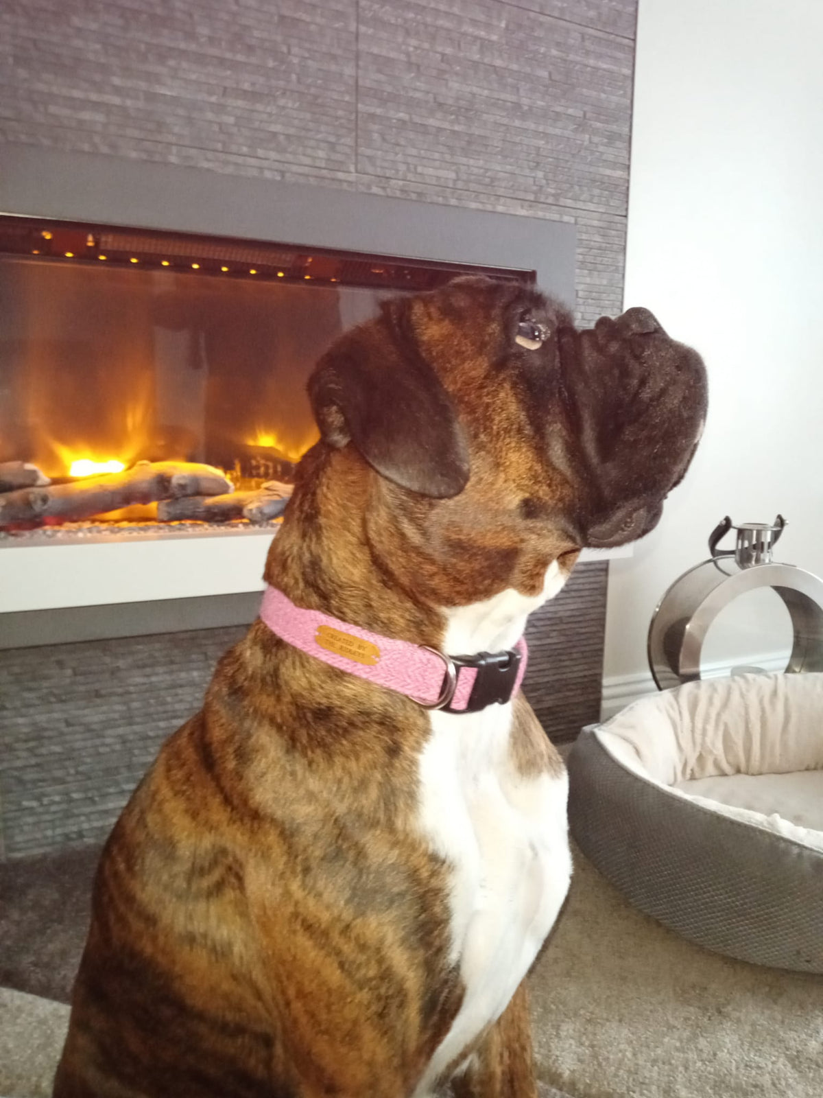 Dog Collar - Lilac Tweed