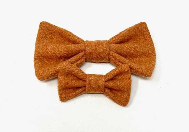 Orange tweed bows on a white background