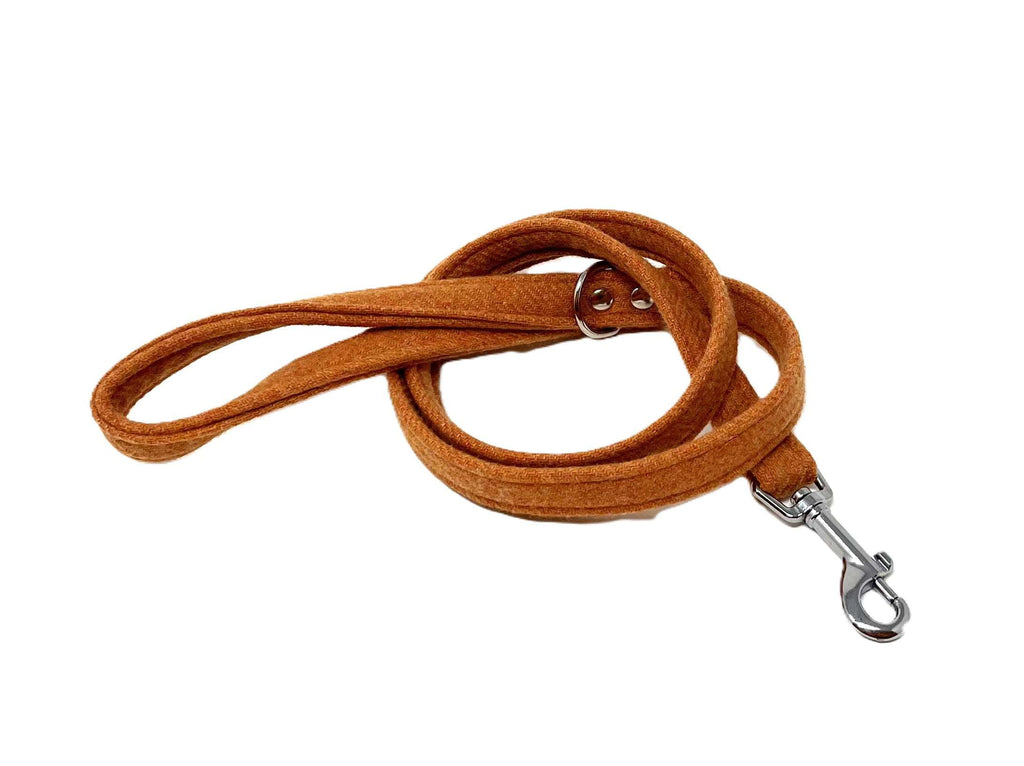 Orange dog lead with metal clip on a plain white background