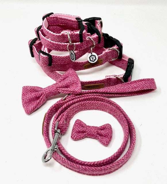 Pink dog collar, leash, and bow tie set on a white background