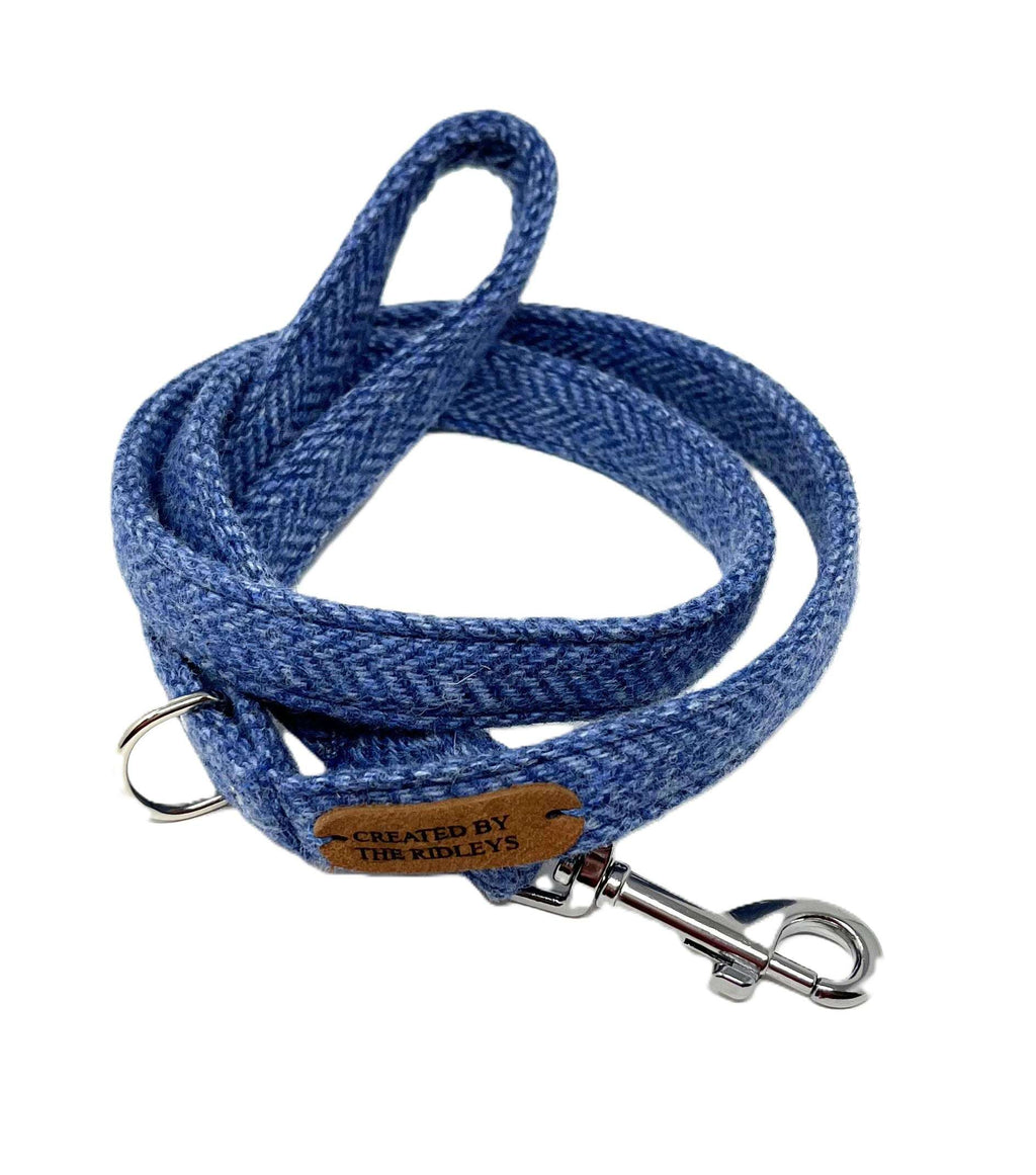 Blue dog leash with metal clip and leather tag on a white background