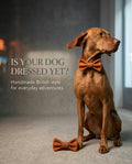 Handmade Orange Tweed Dog Bow Tie - British Style with Contoured Buckle & Matching Accessories