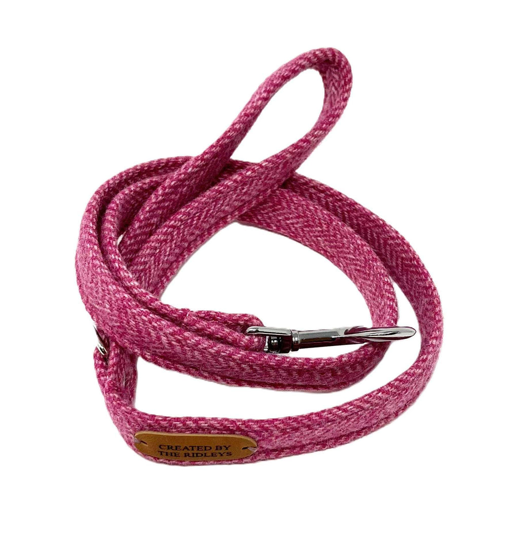Pink dog leash with a metal clip on a white background