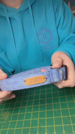 Dog Collar - Blue Herringbone